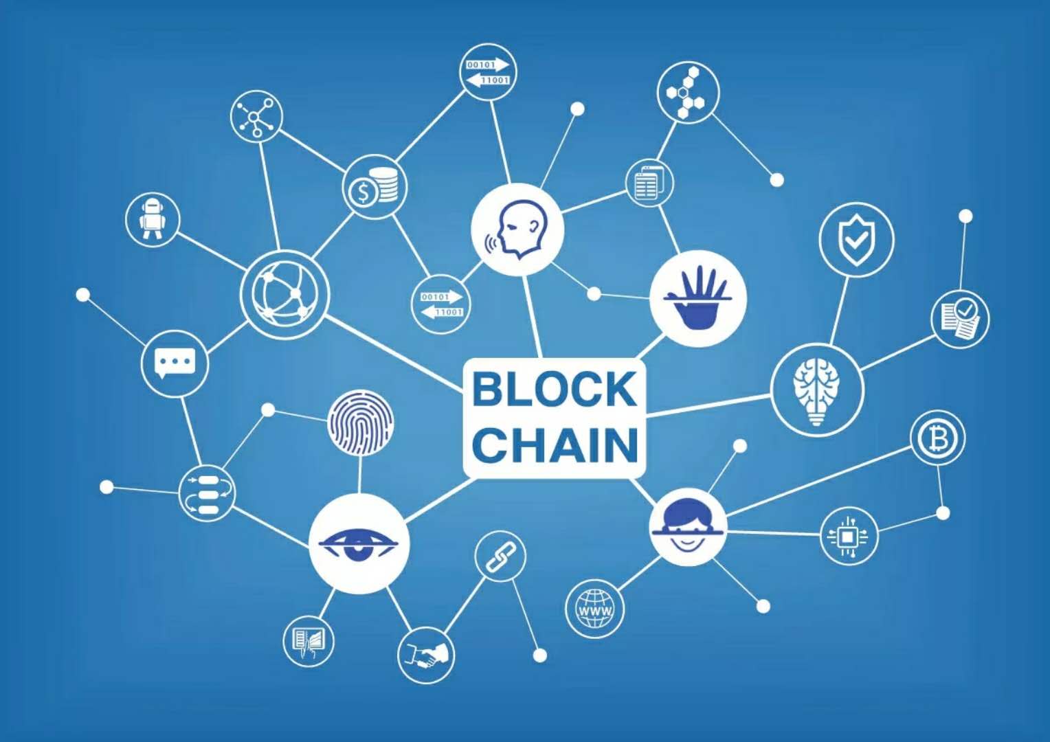 面向金融机构的企业级区块链项目Stable即将推出TetherCEO提供咨询支持