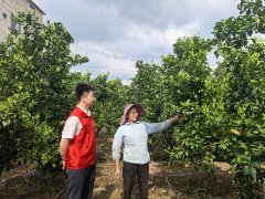 广西象州农合行金融活水普惠千家万户