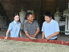 湖南株洲：金融“贷”动新农业 粮食产业绘宏图