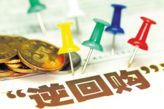 国务院关于2024年度政府债务管理情况的报告